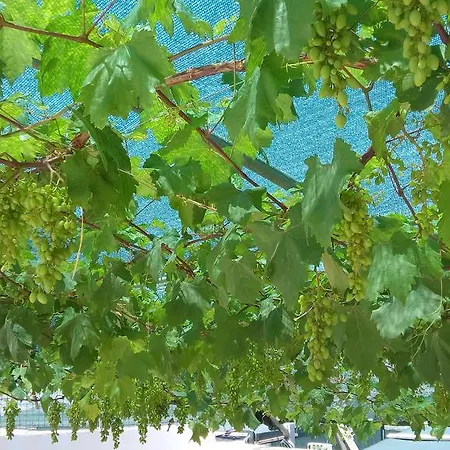 A Casa Di Vera Bed & Breakfast